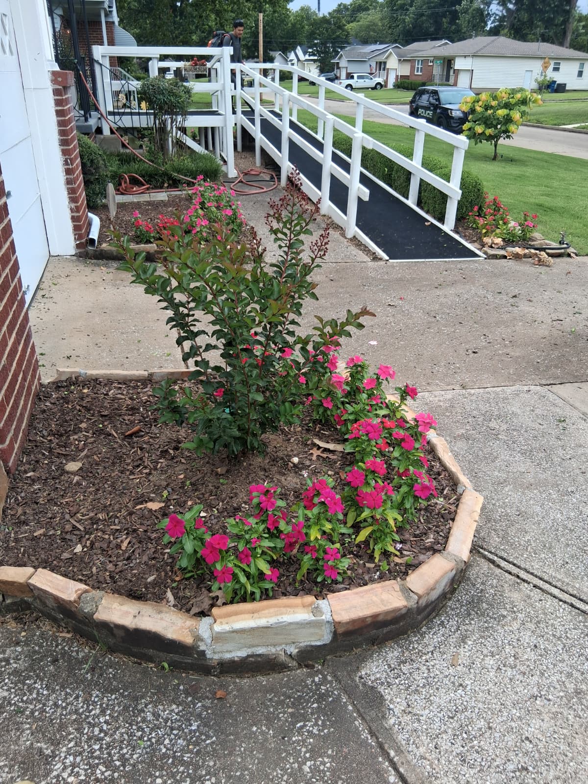 Lawn Maintenance